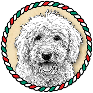 emblema 2025.11.16 400px